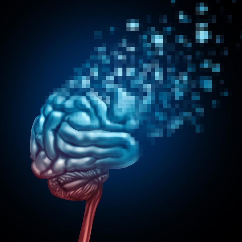Disintegrating Brain