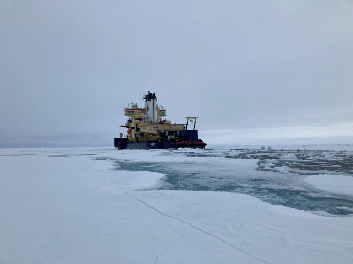 「私たちは間違っていた」